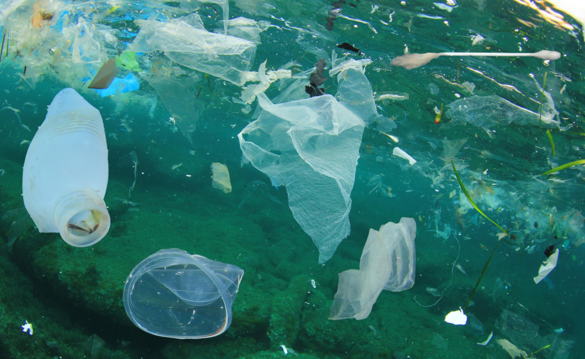 Oceanos Plastificados (Foto Canva)