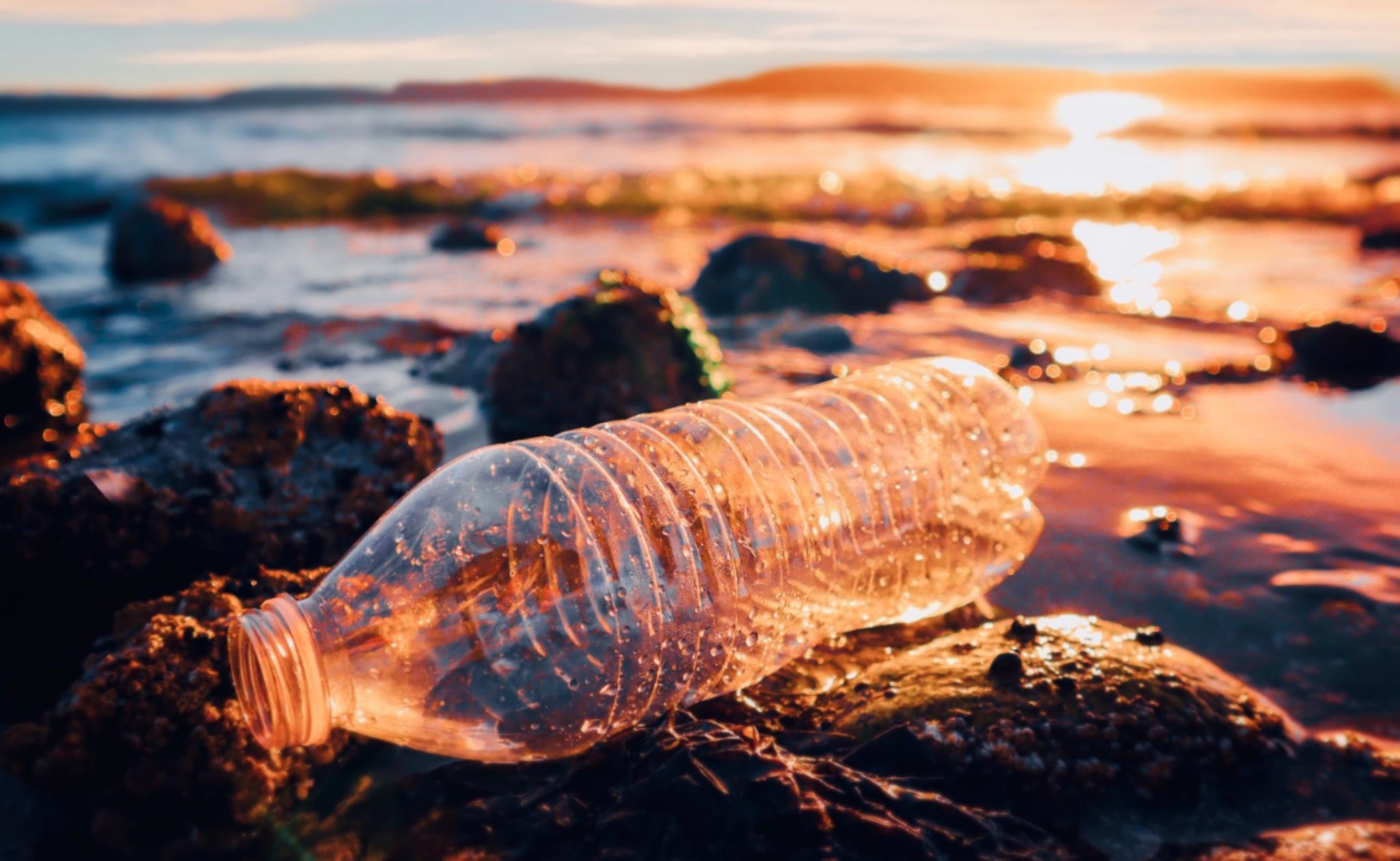 Oceanos Plastificados (Foto Canva)
