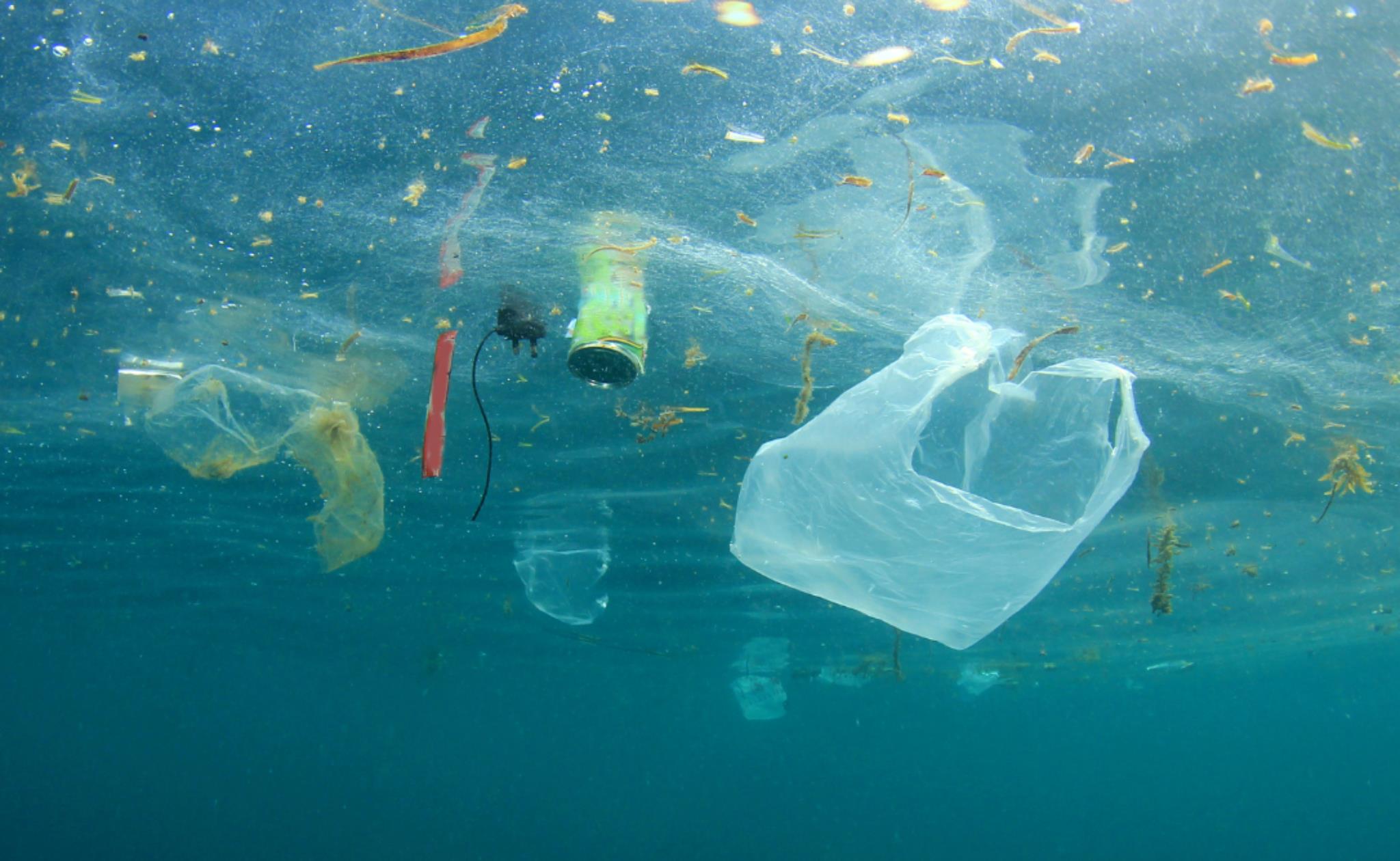 Oceanos Plastificados (Foto Canva)